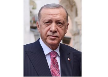 土耳其總統呼籲盡快實現加薩永久停火 以制止正在發生的暴行