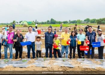 大園溪海西瓜節　蘇俊賓副市長體驗種瓜樂趣並推廣食農教育