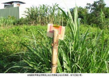 「土地公枴」今昔大不同 新「旗」換舊「枴」