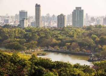 澄清湖風景區遊客不幸遭路樹壓死   今起封園一週