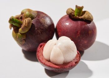 今年首批泰國新鮮採收「山竹」  家樂福搶先通路今開賣