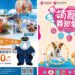 波麗士大人玩樂園只要110元  6/29寵物運動會報名開始囉