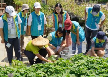 綠照一夏! 青年學子走入農村社區 青銀共創美好回憶