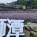 2024獅潭仙水節8/31登場 打造客家文化新風貌
