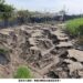 大樹高屏溪畔路徑 豪雨淹埋迄未復原