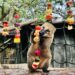 壽山動物園創意送禮 動物大享中秋野營餐點