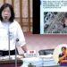 漾新聞|當初都市計畫美意的「囊底路」如今成為死路 陳麗珍議員質詢要求市府開通