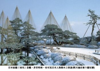 日本庭園的特殊景觀「雪吊」之美