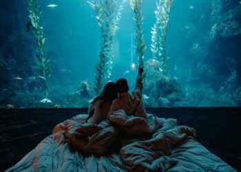 2025年夜宿海生館即日起開放報名 預約一場湛藍的美夢