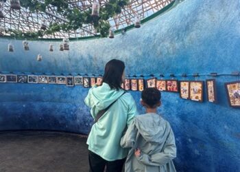 最暖心展示空間！ 台中國際花毯節「共創基地」吸引長者、幼童手作共創回憶