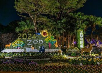 士林官邸燈下菊影新體驗 附加夜市順遊行程