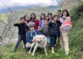 漾新聞|打造「南橫公路上的花園校園」桃源國中梅花盛開滿園春色災後重建現生機