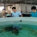 立春魚苗放養黃金期 「預防勝於治療」 動保處呼籲積極管理、防範疾病 創造大豐收