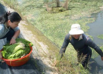 美濃粄條客家菜／黃山高 2014高雄小故事三級獎／漾新聞