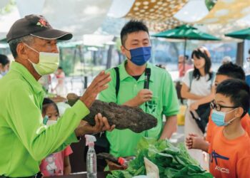 漾新聞|2025兒童藝術節登場 高雄化身童樂繽紛派對