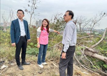 漾新聞|鳳翔公園轉型在望 李雅靜爭取活化啟動