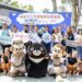 漾新聞｜壽山動物園與六福村結盟 美洲野牛迎新伴