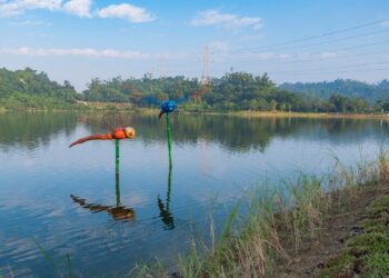 漾新聞|觀音湖大變身！螢火蟲季開跑、濕地秘境搶先看