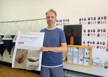 漾新聞|沒化石也能溯源？中山大學重建遠古牙蟲泳姿