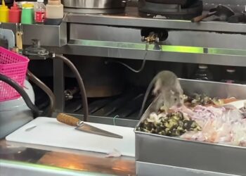 漾新聞｜老鼠夾走生鮮食材畫面曝光！光華夜市遭疑食安破口