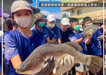漾新聞|鱸魚怎麼殺？新上國小生猛課開到魚塭現場！