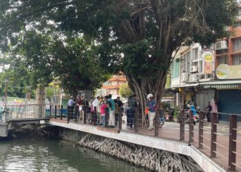 漾新聞|地方的聲音聽到了！蓮池潭天空之城樹爆紅250萬點閱 高市決議原地保留不遮蔽