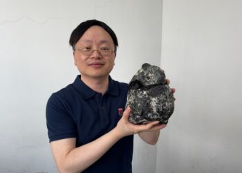 漾新聞|狗來富成真！她撿到真龍涎香