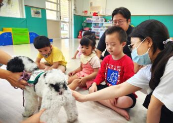 漾新聞|毛老師好朋友？療癒慢飛天使