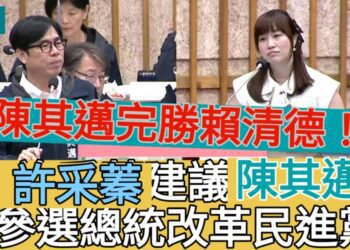 影／評賴清德週年政績支吾難言　許采蓁評陳其邁完勝賴清德鼓勵參選總統改革民進黨／漾新聞