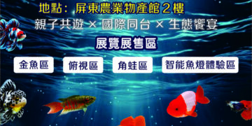 屏東金牌觀賞魚驚艷登場 暑期最強親子生態展演在屏東農業物產館