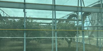 熱帶性低氣壓逼近 屏東縣農漁民應提早因應並加強防範