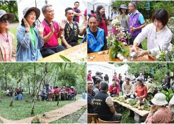 一場與自然共鳴的夏日茶事饗宴 2025阿里山四季茶旅 夏季茶會今登場 邀你漫遊森林茶境