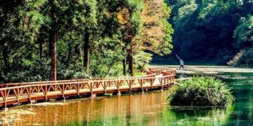 受颱風丹娜絲影響 福山植物園7月6日至7日預警性休園