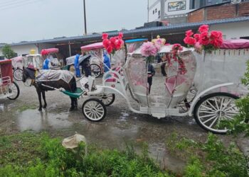 金門、台灣 觀光馬車就是沒有辦法像昆明那樣好的生意