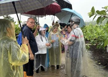 張麗善會勘古坑農損 盼農業部聽見農民心聲 速將雲林縣納入「全品項」、「免現勘」天然災害現金救助區