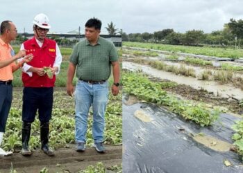 陳其邁前往產區勘災 指示加速辦理救助作業