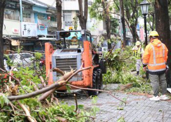 全市主要幹道全數恢復通行 丹娜絲颱風重創嘉義市 市府啟動四階段復原行動