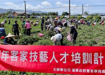 好事「花生」慢城「好遊」 鳳林花生節熱鬧登場