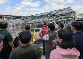 台南北門蘭花溫室風災全損農業部勘災將援助