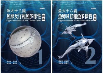 全球首套經DNA驗證的魚類早期生活史圖鑑 《魚大十八變-魚卵及仔稚魚多樣性圖鑑》