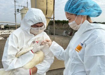 嘉義縣家畜疾病防治所全面啟動畜禽水產防疫應變 防範災後疫病