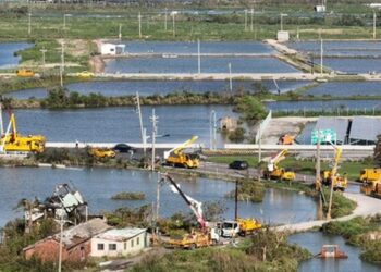 台南溪北風災近20萬戶停電台電搶修今午全部復電