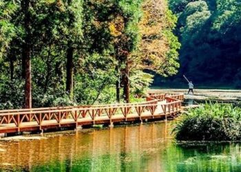 颱風外圍環流影響  福山植物園提供延期入園貼心措施