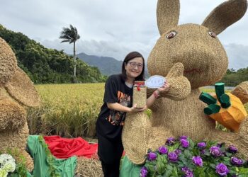 關渡稻浪巡禮 「稻TO相逢」體驗北投稻田風情