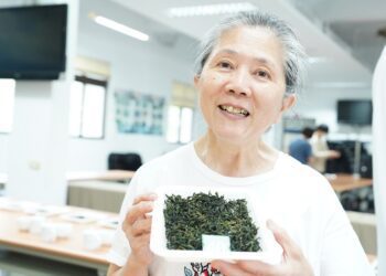 冷泡首選 坪林有機農堅持友善環境種出冠軍茶