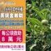 中市椪柑受天然災害影響 中市農業局提醒：8/4前可申請現金救助