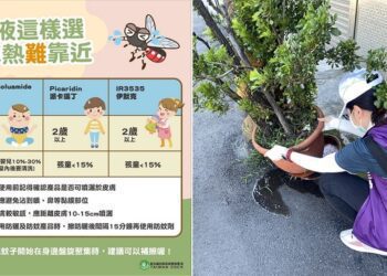 暑假旅遊旺季來臨 當心登革熱找上門！