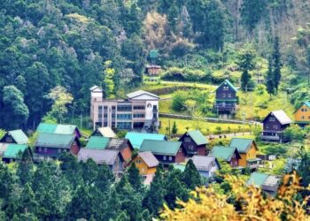 最夯的秘境探索 阿里山賓館推小瑞士之稱彩虹村