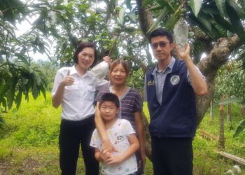 移民署築夢計畫 開啟一段從傳統農法邁向永續耕作的夢想旅程 助新住民趙艷屏打造永續芒果園