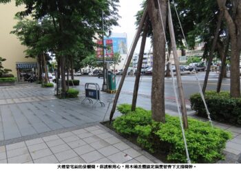 行道樹的支撐也是一門大學問
